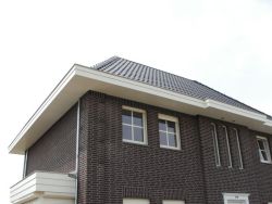 RIF_0885-23380849_width800.jpg