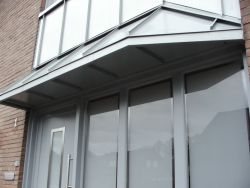 Nyenhuis2-599944474_width800.jpg