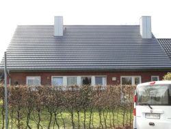 Stefan2-920218599_width800.jpg